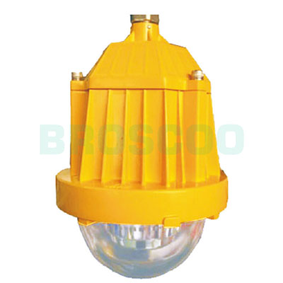 ZBD119 LED Explosion-proof platform light