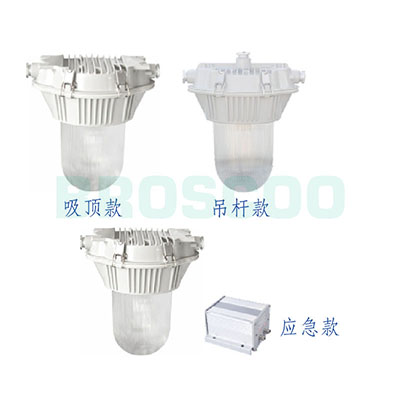 ZGF601 Anti-glare flood light