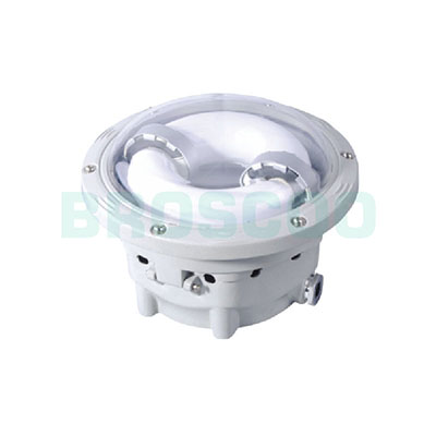 ZGF702 Longevity Ceiling Light