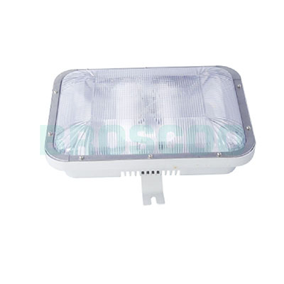 ZGF701 Longevity Ceiling Light