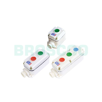 BZC8030 Explosion-proofand anti-corrosion control buttons(IIB/IIIB)