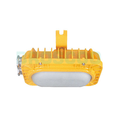 ZBD124 LED maintenance-free explosion-proof lamp
