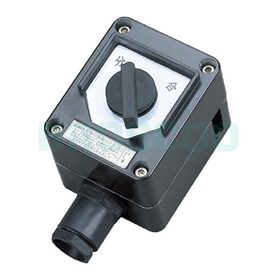 BZM8030 Explosion-proof and anti-corrosion lighting switch(IIC)