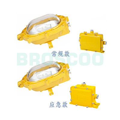 ZBF801 Explosion proof Infield Floodlight