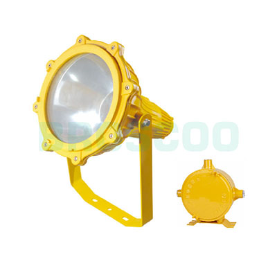 ZBF815 Explosion-proof flood light