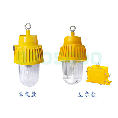 ZBF803 Explosion-proof platform light