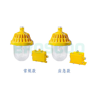 ZBF804 Explosion-proof platform light