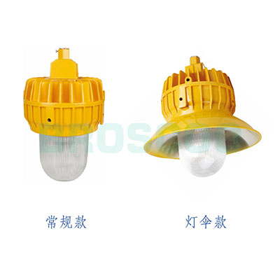 ZBF805 Explosion-proof platform light