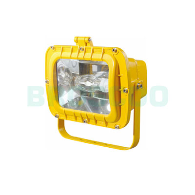 ZBF808 Explosion-proof flood light