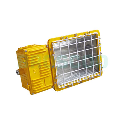 ZBF812 Explosion-proof flood light