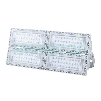 ZGD215 LED flood light