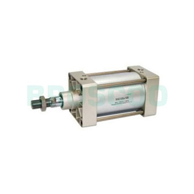 SG/SGC Series Standard Cylinder