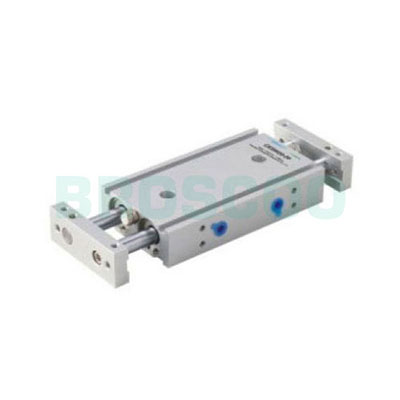 CXW Series Double Piston Rods Cylinder