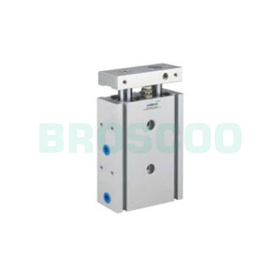 CXS Series Dual Cylinder