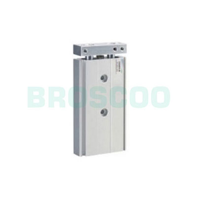 CXSJ Series Double Piston Rods Cylinder