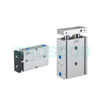 TN/TR Series Double Piston Rods Cylinder
