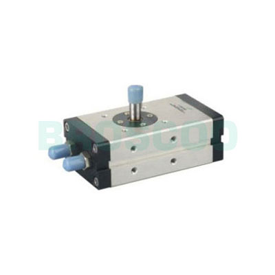 RTP Series Rotary Cylinder