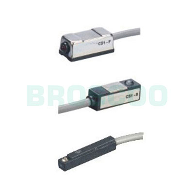 CS1 Series Magnetic Switch