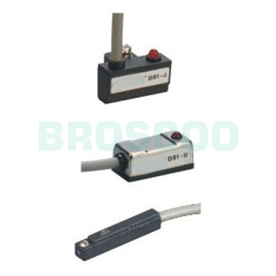 DS1 Series Magnetic Switch