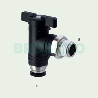 BVCL Elbow B